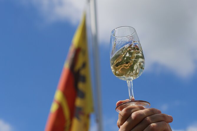 Geneva Panoramic & Tasting Vineyards Tour in an Tuk Tuk - Who Should Book This Tour (And Who Might Not)