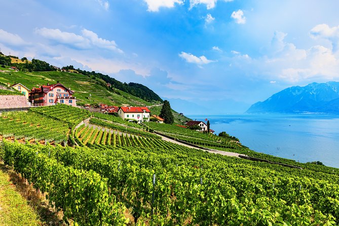 Geneva to Gruyère Private Day Trip. Cheese & Chocolate Tour - Price and packages: what $554.44 per person really covers