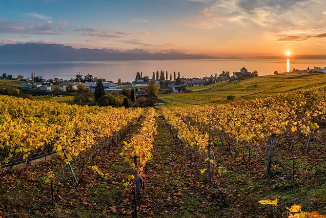 Geneva to Lausanne, Montreux and Château Chillon Private Tour - Lausanne and the Olympic Museum: A Great Stop if You Like Stories, Not Just Scenery