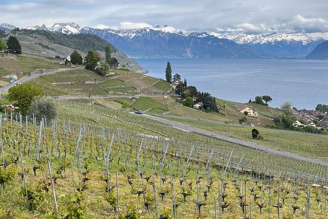 Gourmet Food and Wine Tasting Walk in Lavaux - Food and wine flow: tastings that do not feel random