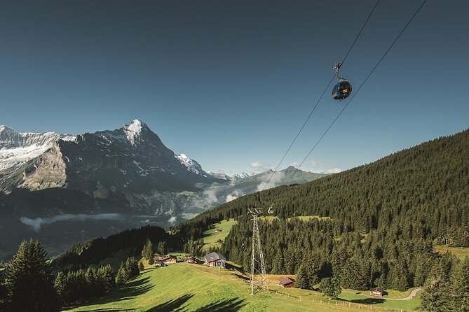 Grindelwald First - Top of Adventure from Lucerne - Key things to know before you go