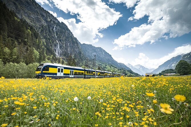 Grindelwald First - Top of Adventure from Lucerne - Lucerne bus pickup and the Interlaken orientation stop