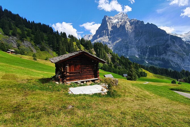 Grindelwald First (Top of Adventure) Ticket incl. Cliff Walk - Weather Reality: Why Cloudy Days Still Work Here