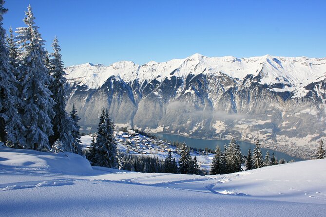 Grindelwald, Interlaken and Lauterbrunnen Day Trip from Lucerne - Grindelwald: the main event with village time and optional mountain rides