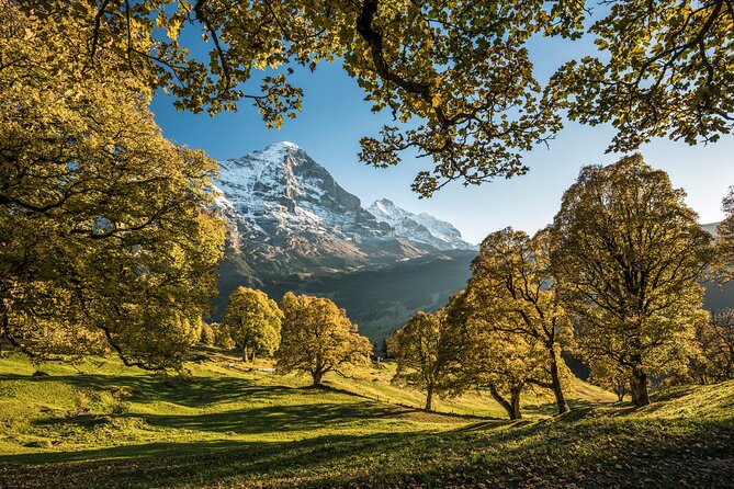Grindelwald, Interlaken & Lauterbrunnen Day Trip from Zurich - Guides and Group Size: How the Day Feels on the Ground