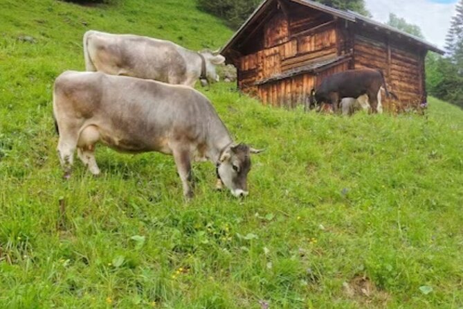 Grindelwald, Lauterbrunnen Lungern Interlaken Semi-Private - Lauterbrunnen in 30 Minutes: Waterfall Valley on Fast Mode