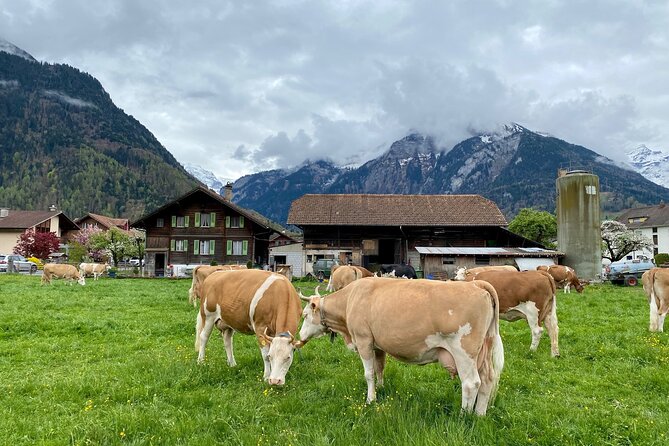 Grindelwald, Lauterbrunnen & Mürren Private Day Trip from Zurich - Lauterbrunnen valley and waterfall time, with a real walk