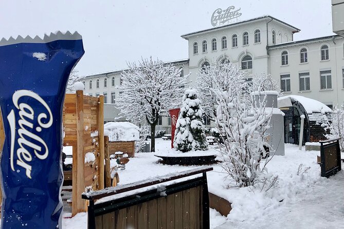 Gruyère Cheese and Chocolate Tasting Day Trip from Geneva - First stop: Maison du Gruyère and why aged cheese tasting is the point