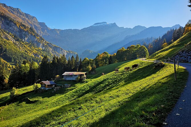 Guided Excursion to Jungfraujoch, Grindelwald and Lauterbrunnen from Lucerne - Grindelwald: a brief town moment before the mountain ride