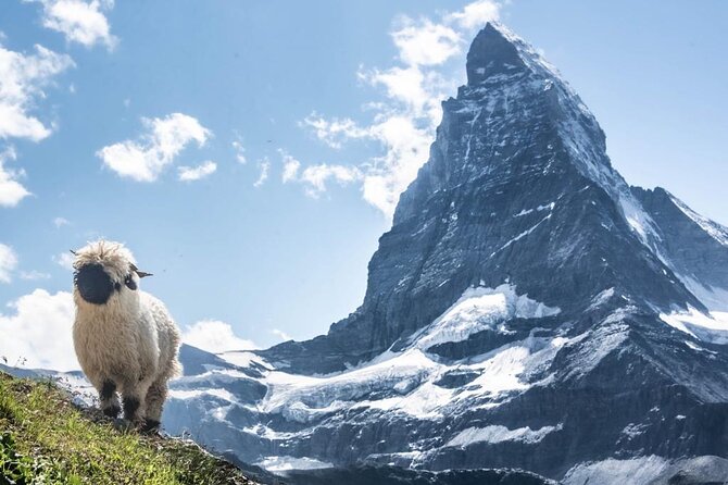 Guided Hiking Full Day in Zermatt - Zermatt Hiking Basics, Where the Day Starts at 9:00