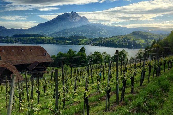 Half-Day Lake Lucerne Country Walk - Leaving Crowds Behind in About Four Hours