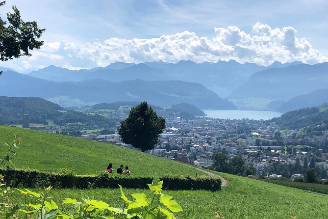 Half-Day Lake Lucerne Country Walk - Why a Private English Guide Changes Everything