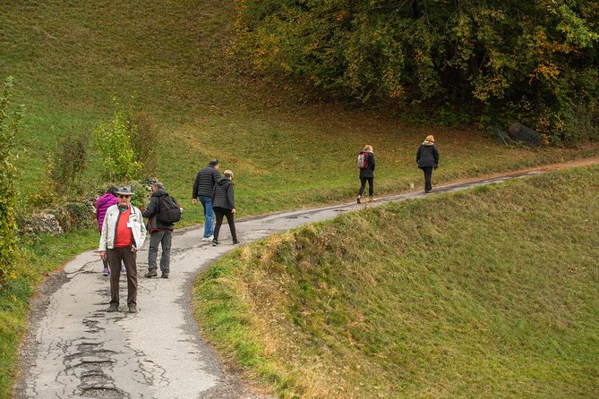 Heidiland and Liechtenstein Tour from Zurich - Rapperswil’s rose gardens and medieval castle, with time to wander