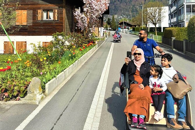 Hidden gems e-bike tour with picnic at Lake Brienz - Passing Through Böningen: Quiet Charm, Wooden Chalets, Gardens