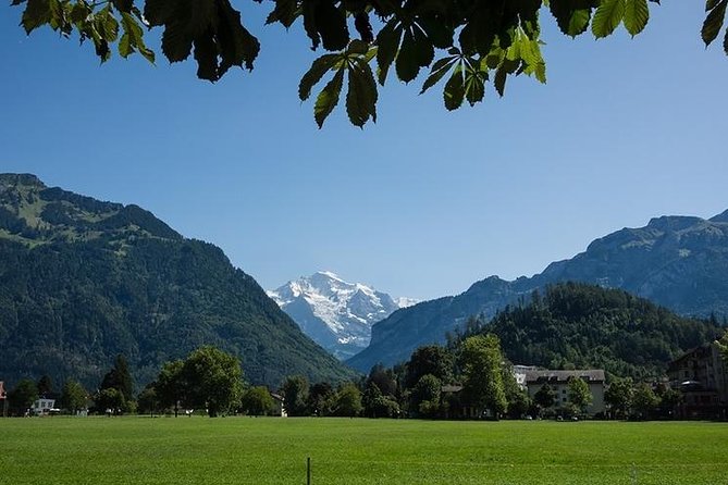 Interlaken 3-hours Private Walking Tour & Mt. Harder Excursion - Hohematte Park and Paragliders: A Jungfrau-Region View in the Middle of Town
