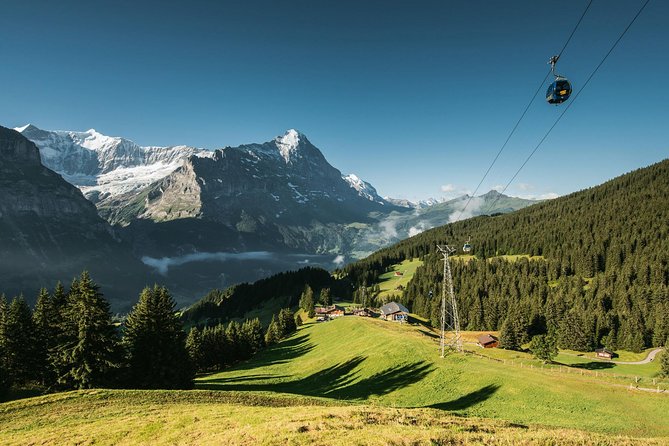 Interlaken and Grindelwald Day Trip from Lucerne - Is $118 a Good Deal? Price Value vs Doing It Independently