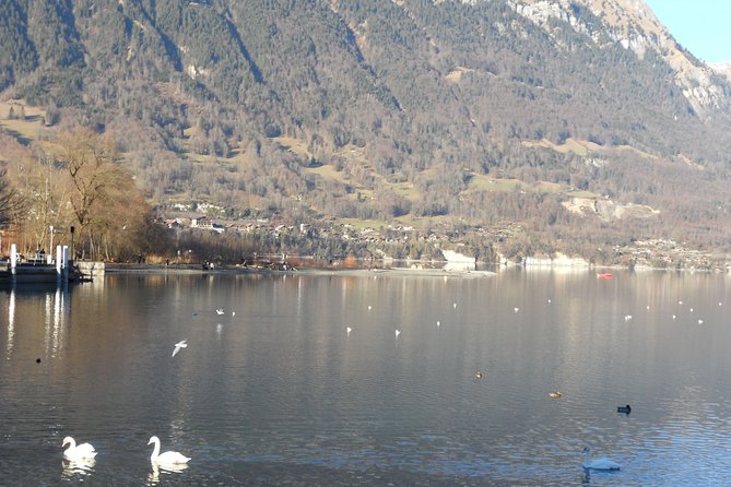 Interlaken Private Tour: Mountains Cows, Thun Lake, and Brienz Lake - From Interlaken pickup to Luegibrüggli, you get the big-picture first