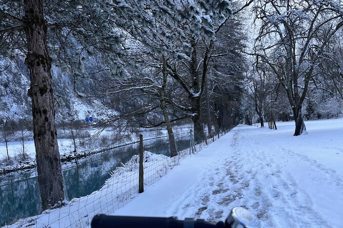 Interlaken Valley Winter E-Bike Tour: Rivers, Lakes & Castles - Thunersee shore stop: photos first, then back on the bike