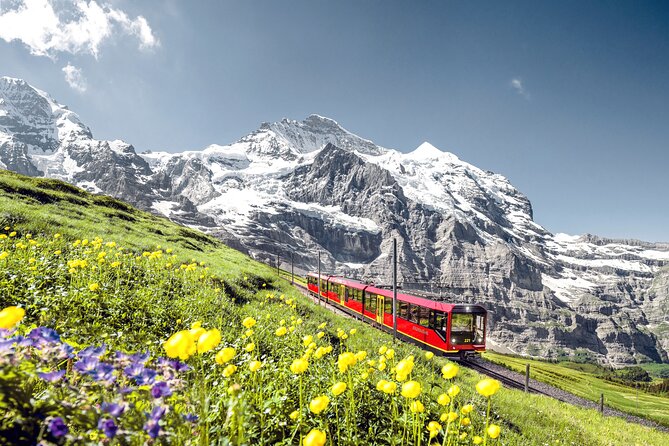 Jungfrau, Top of Europe & Interlaken Small group from Zurich - The Ice Palace: Sculptures Plus the Alpine Sensation Connection