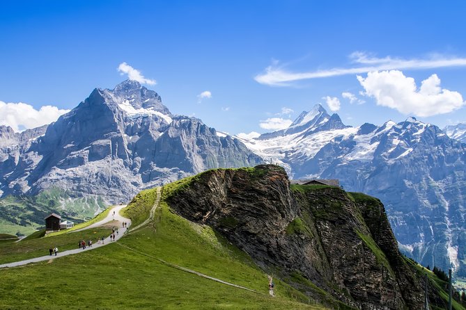 Jungfrau Travel Pass 3-8 days - Stop 2: Schynige Platte for classic alpine scenery time