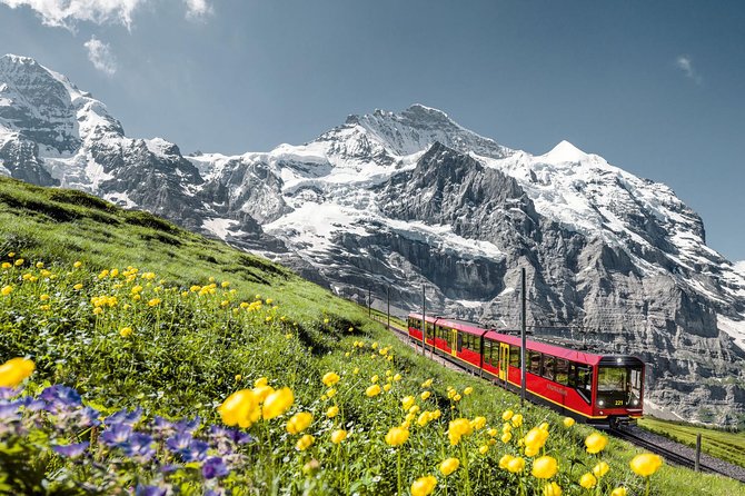 Jungfraujoch: Top of Europe Day Trip from Zurich - Jungfraujoch From Zurich: how this day trip is really organized
