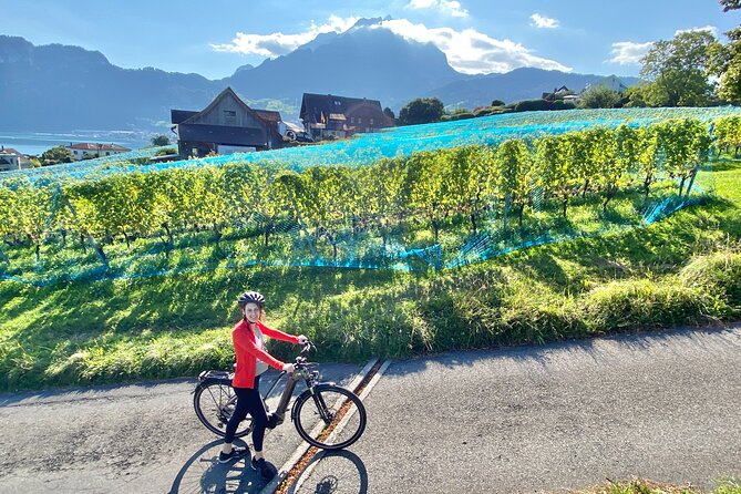 Lake Lucerne Peninsula e-Bike Tour - Key points before you ride