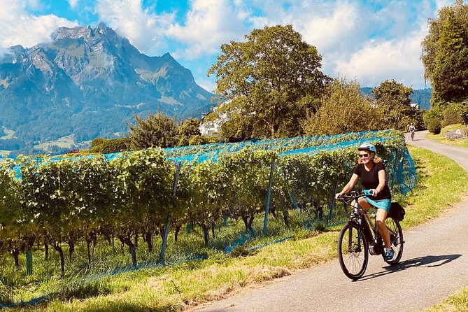 Lake Lucerne Peninsula e-Bike Tour - The first rolling chapter: city edges to lake paths