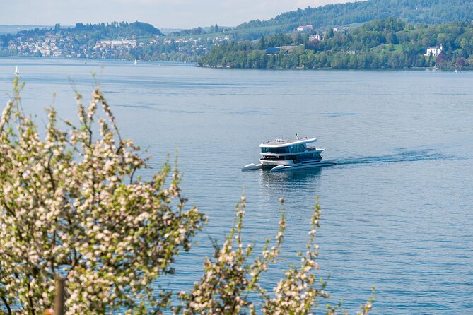 Mount Bürgenstock Independent Tour from Lucerne - The big gotcha: make sure you transfer to the funicular stop