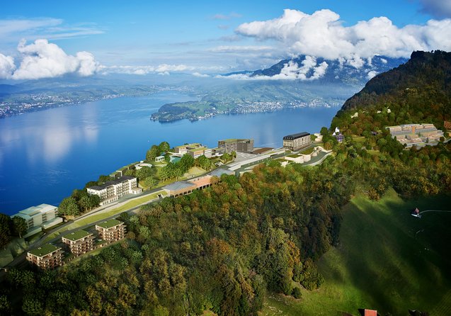 Mount Bürgenstock Independent Tour from Lucerne - Who should book this Mt. Bürgenstock independent trip