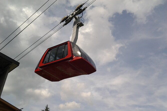 Mount Pilatus Small Group off-season Day Trip from Luzern - Kriens stop: quick access to the Pilatus gondola