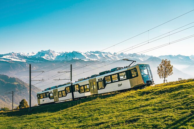 Mount Rigi Day Ticket - Cable Car to Rigi Kaltbad (Weggis to Rigi Kaltbad): A Change of Pace