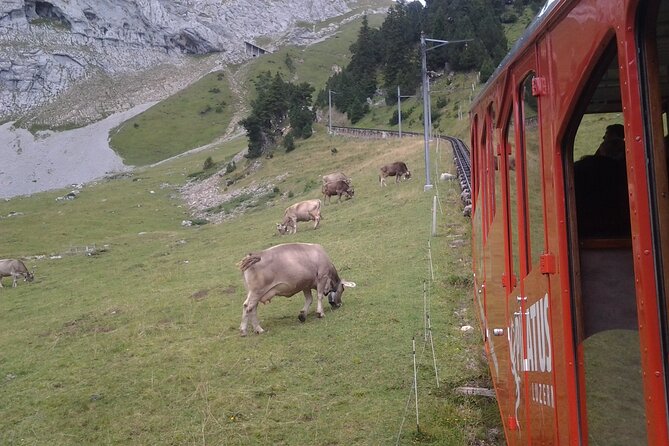 Mt. Pilatus Golden Roundtrip Small Group Day Trip from Basel - Basel SBB to Lucerne by train: set the stage