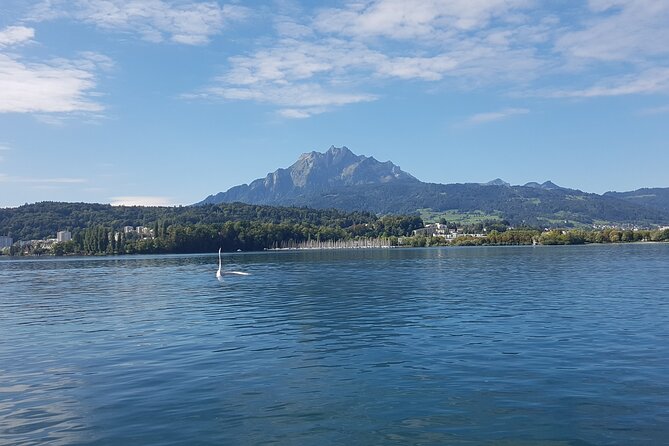 Mt. Pilatus Golden Roundtrip Small Group Day Trip from Lucerne - The Guide Factor: Efficient, Human, and Often Fun