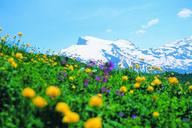 Mt Titlis Glacier Paradise Tour from Zurich With Lucerne - Engelberg and the Rise Toward Permanent Snow