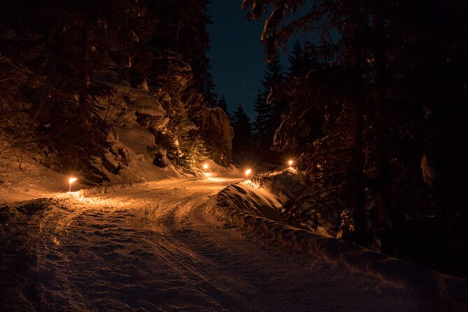 Night Sledding from Interlaken - Winter clothing and gear: what’s included, what’s not, and how not to freeze