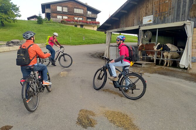 Panoramic E-Bike Tour with a Lake Cruise - Lucerne from the water: 2 hours on Lake Lucerne