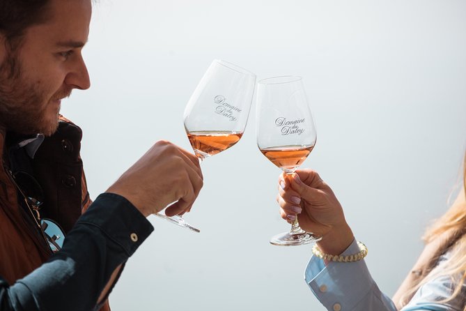 Panoramic Wine Tour From Lausanne - The drive through Lavaux: what those short intermediate stops really do