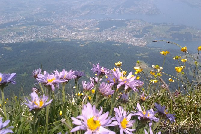 Pilatus Panorama: Exclusive Private Golden Round Trip from Zürich - The World-Class Cogwheel Climb to Pilatus Kulm