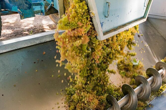 Pinot Noir & Pinot Wine Tour to Baden-Württemberg - Getting there from Basel at 9:00 am, and why pickup matters