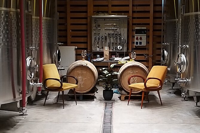 Pinot Noir & Pinot Wine Tour to Baden-Württemberg - Stop 2 in Vogtsburg im Kaiserstuhl, volcanic hills and real heat