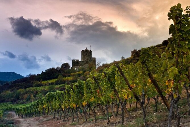 Pinot Noir & Pinot Wine Tour to Baden-Württemberg - Tastings and alcohol included, how the wine experience is set up