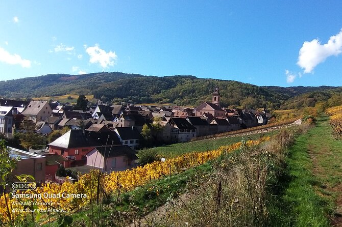 Pinot Noir & Pinot Wine Tour to Baden-Württemberg - Value check: what you get for $379.80 per person