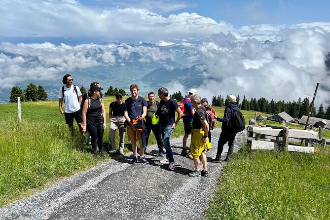 Private Guided Hike on Mt. Rigi with Farm Visit and BBQ - Farm visit and BBQ at the outposts: cows, local rhythm, and Mark’s grill