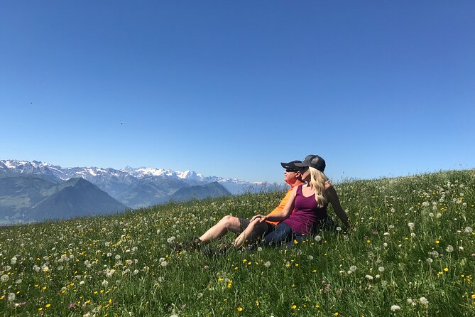 Private Guided Hike on Mt. Rigi with Farm Visit and BBQ - The climb to the top: why the 360 views feel like the main event