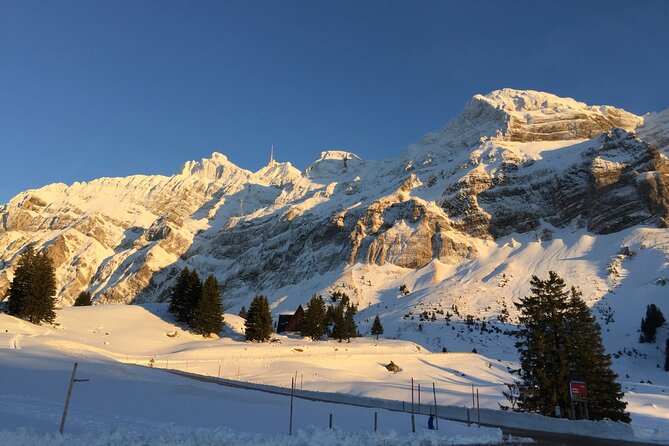Private Guided Swiss Alps Day Trip from Zurich with Hotel Pick-Up - The role of your private guide, Martin, and why it changes the day