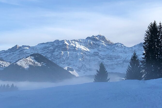 Private Guided Swiss Alps Day Trip from Zurich with Hotel Pick-Up - Timing, transport, and how to plan your day