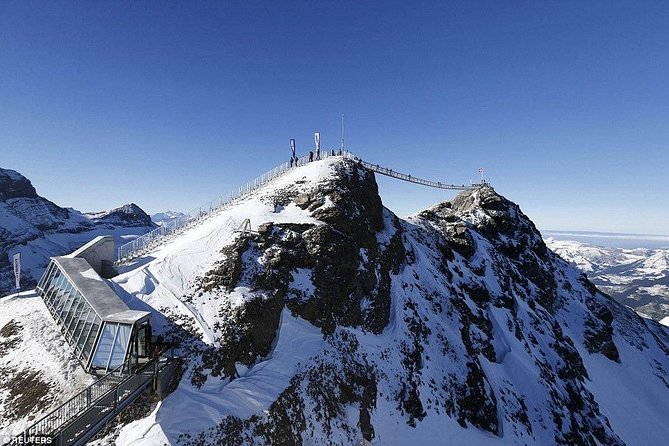 Private Tour to Glacier 3000 - High level experience -from Geneva - Key highlights that make this day work