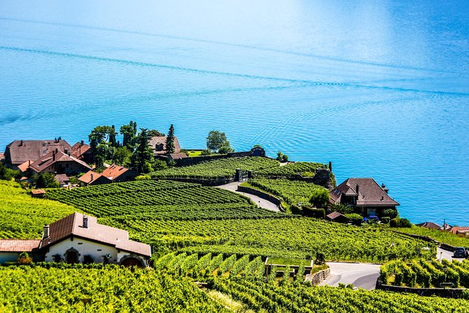 Private Tour to Gruyères, Chocolate & Cheese Factory from Geneva - Price and inclusivity choices: how to pick the right option