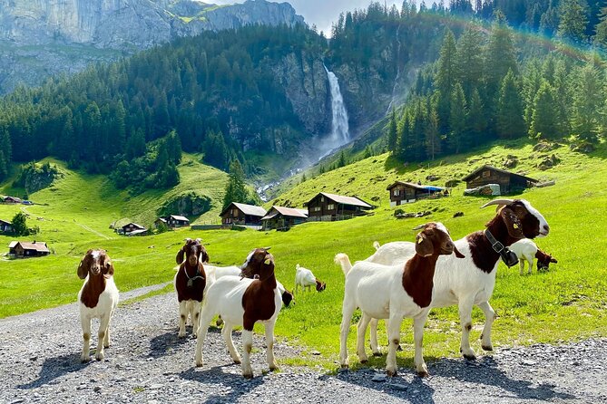 Private tour to the most breathtaking insider spots in Switzerland (1 day) - A private day from Zurich into Uri and the Klausenpass Alps