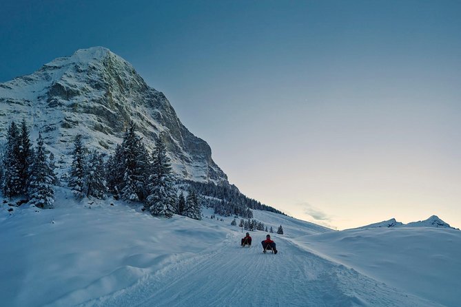 Private trip from Zurich to Jungfraujoch (The Top of Europe) - Key highlights you should know before you go